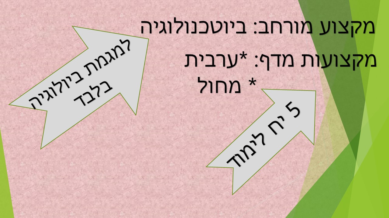 שקופית10